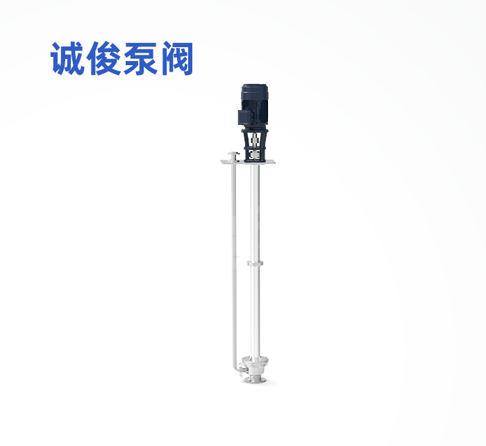 FY型不锈钢液下泵